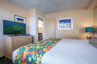 その他 アクア アロハ サーフ ワイキキ ホテルの写真