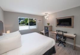 สปอตที่ปอร์โพยส์เบย์