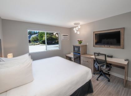 The Spot at Porpoise Bay