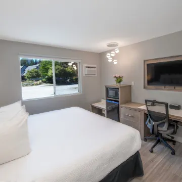 The Spot at Porpoise Bay