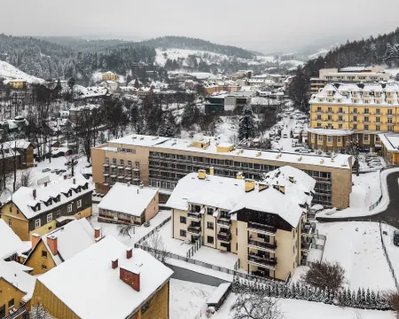 陽光白雪奇查中央公寓酒店 克雷尼察酒店