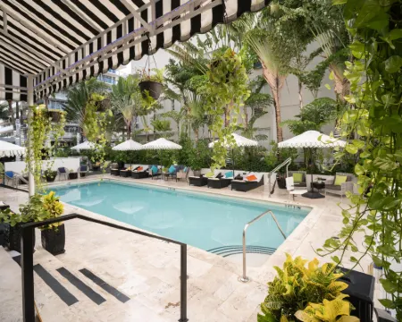 โรงแรมครอยดอน โรงแรมในไมอามีบีช