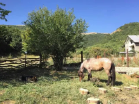 Vardeni Guesthouse Hotels in 