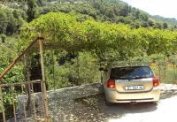 House Lidija