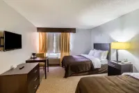 Clarion Inn Near McAllen Airport - bar