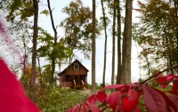 Secluded Shipshewana Log Cabin In the Woods