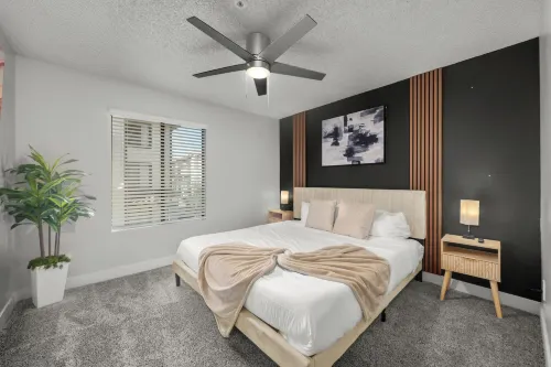 The Asteria by Stylish Stays