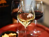Ibis Beaune la Ferme Aux Vins - bar