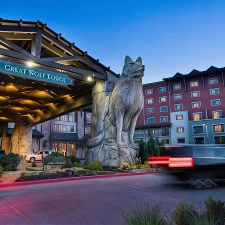 Great Wolf Lodge Grapevine