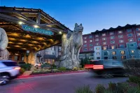 Great Wolf Lodge Grapevine - Kylpyammeita