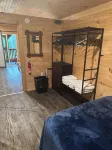Secluded Cabin On the Salmon River Peninsula With AC and Heat in Westville NY - Chalets