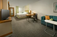 SpringHill Suites Bridgeport Clarksburg - Swimmingpools