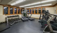 Whistler Village Inn & Suites - palestra