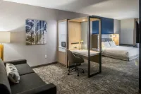 SpringHill Suites Canfield - Gym