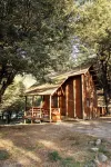 Green Baker Lodge - Homestays