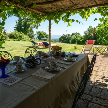 Ginestra