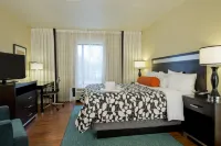 Hotel Indigo Atlanta Airport - College Park Hotels near Atlanta Dream