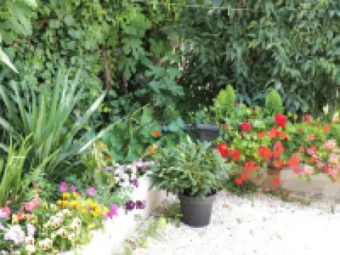 Captain Emo City Apartments Hotel di 