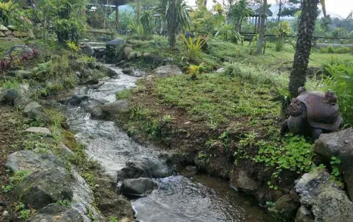 @Niek Homestay Hotels in Mojotengah