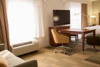 Hampton Inn & Suites Albany-Downtown Hotels in 