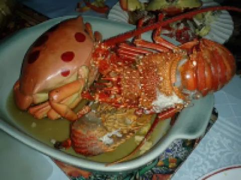 黎明住宿加早餐旅館 湯加塔布島住宿飯店