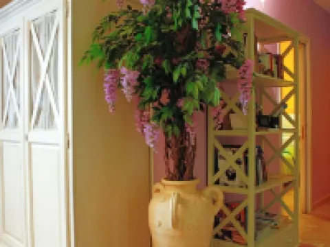 德尼蒂斯住宿加早餐酒店 巴列塔酒店