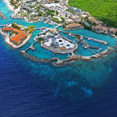 Dolphin Suites & Wellness Curacao