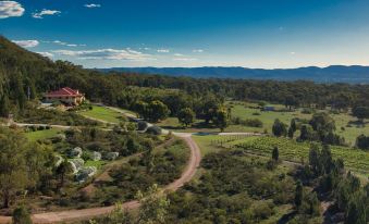 Mudgee Homestead Guesthouse