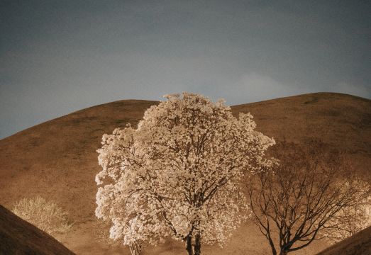 3. 인히어게스트하우..