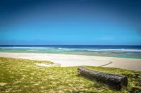 Tamanu on the Beach فنادق في إفات