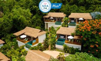 Wild Cottages Luxury and Natural