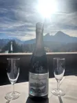 Hotel Vier Jahreszeiten - Mountain view