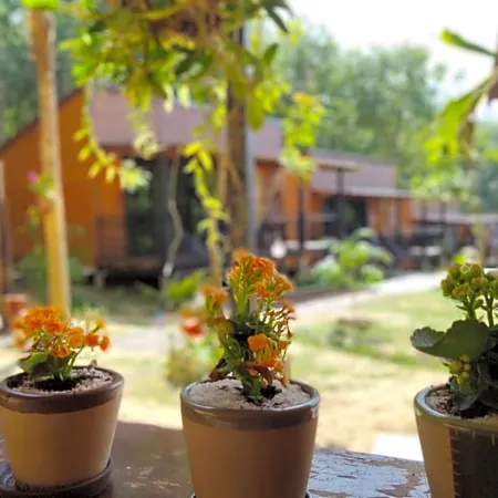 Kohmook Nurse House
