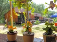 Kohmook Nurse House - Wi-Fi