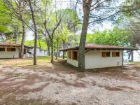 Belvedere Pineta Camping Village - Homestays