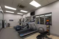 Hilton Garden Inn Lynchburg - Gym