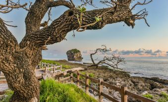 Kenting Dragonfly Travel