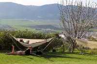 Arriadh Hotel Hotels in Olvera