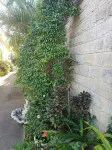 Country View Motel Ilbilbie Hotels in Ilbilbie