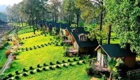 Phoenix Moc Chau Hotel Hotels near Máy Tính Mộc Châu - MComputer Km70