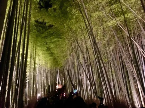 京都 嵐山溫泉 花傳抄(共立度假區)【2026年新裝修】 飯店周邊 Photos