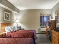 Comfort Inn Lundy's Lane