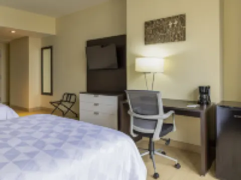 Holiday Inn 巴拿馬城 巴拿馬城酒店