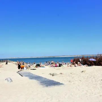 "Eluisa" - 300m from the Sea