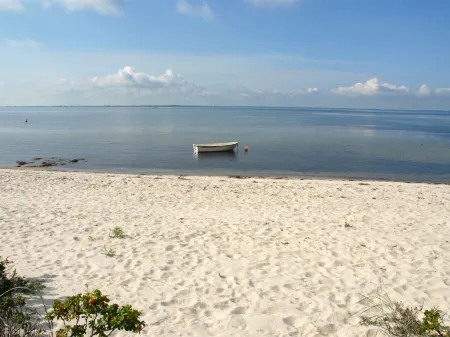 "Kalv" - 75m from the Sea