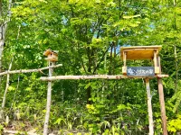 Birch Forest Cottage Hotels in Abashiri