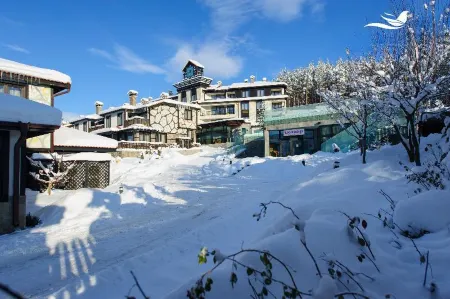 Ruskovets Thermal Spa & Ski Resort Отели в г. Добриниште
