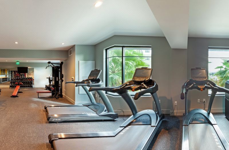 Hotel Indigo Tallahassee - Collegetown by IHG photo 4