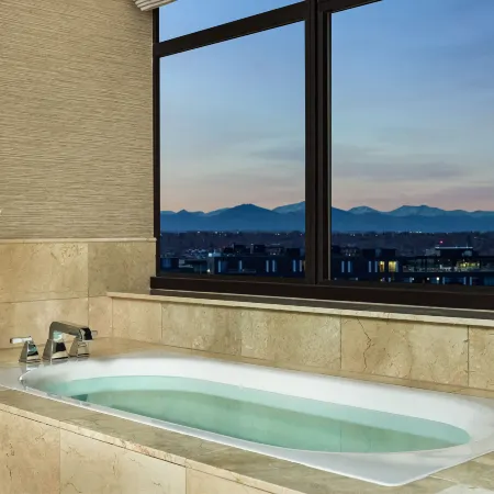 The Ritz-Carlton, Denver