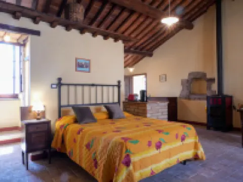 Mimosa - Borgo la Civitella